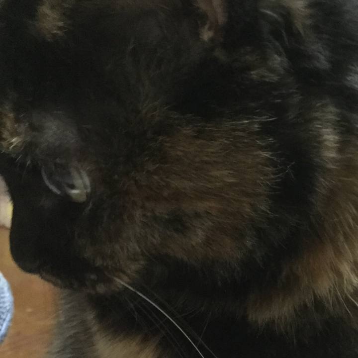 43a315b4 dada 4899 a9e9 35a0f471fdfe 1580212836221