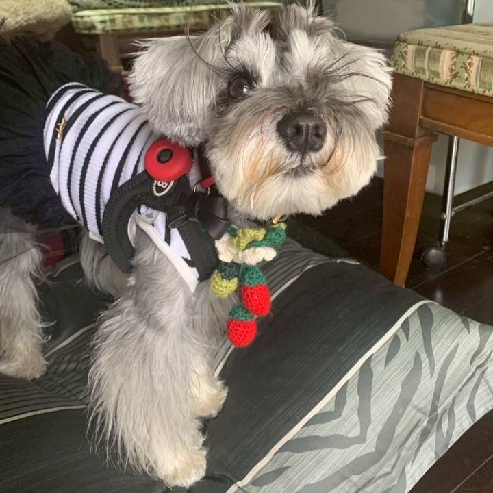 43a3284c 3224 4d5f ba8c c67288ad39ad 1765210309019