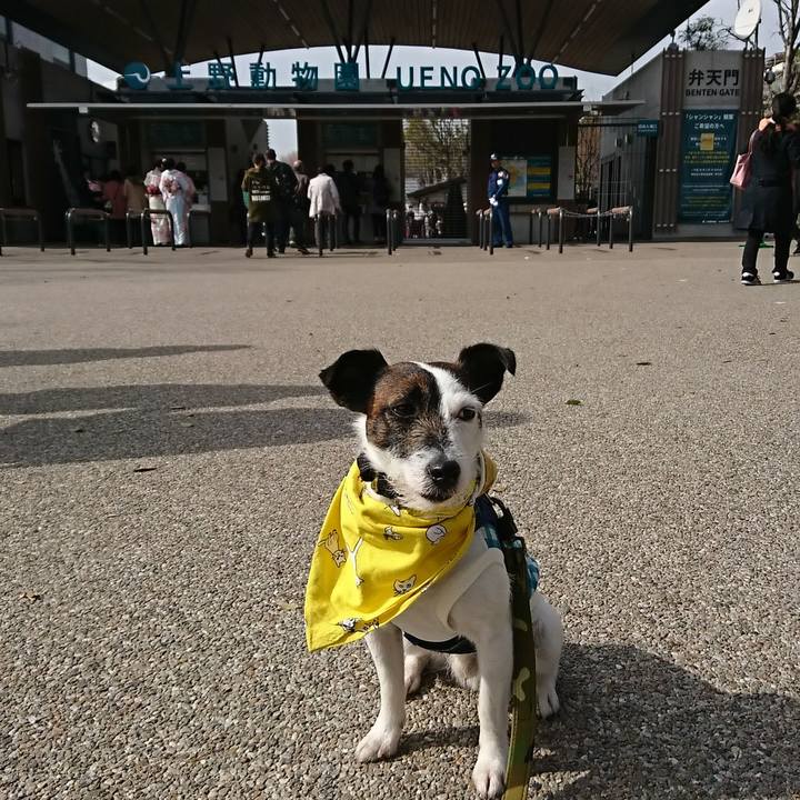 43a331c4 ea0e 455a bc25 c0ea475aa442 1521870456750