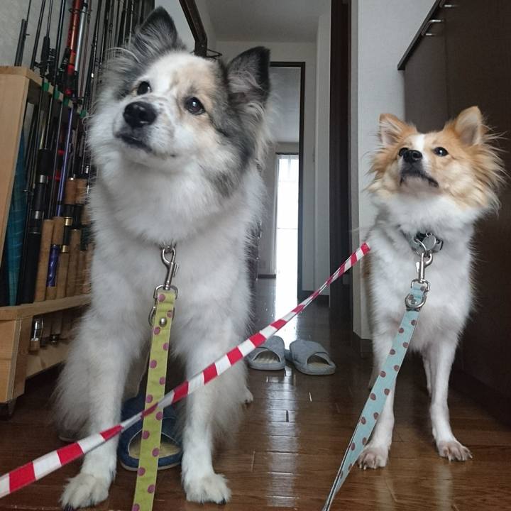 43a33733 58be 4533 b150 c16b47fb9f0a 1535891270232