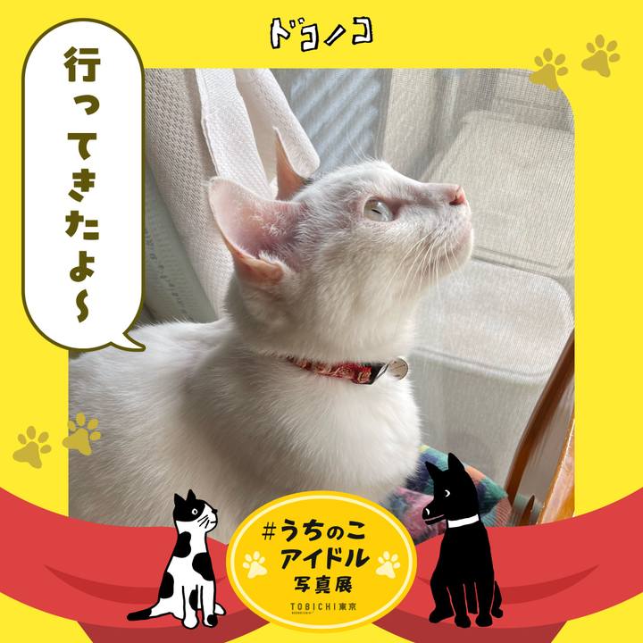 43a35cc5 21be 4657 9931 b41ade5417b5 1762055290810