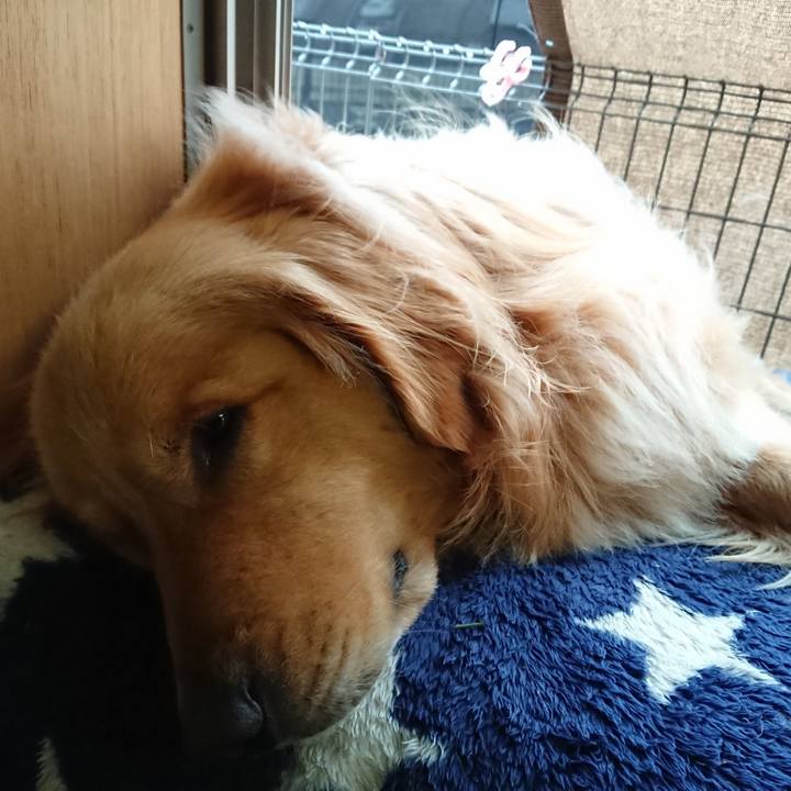 43a37813 2feb 4e9e a46a a1559603f087 1551680019115