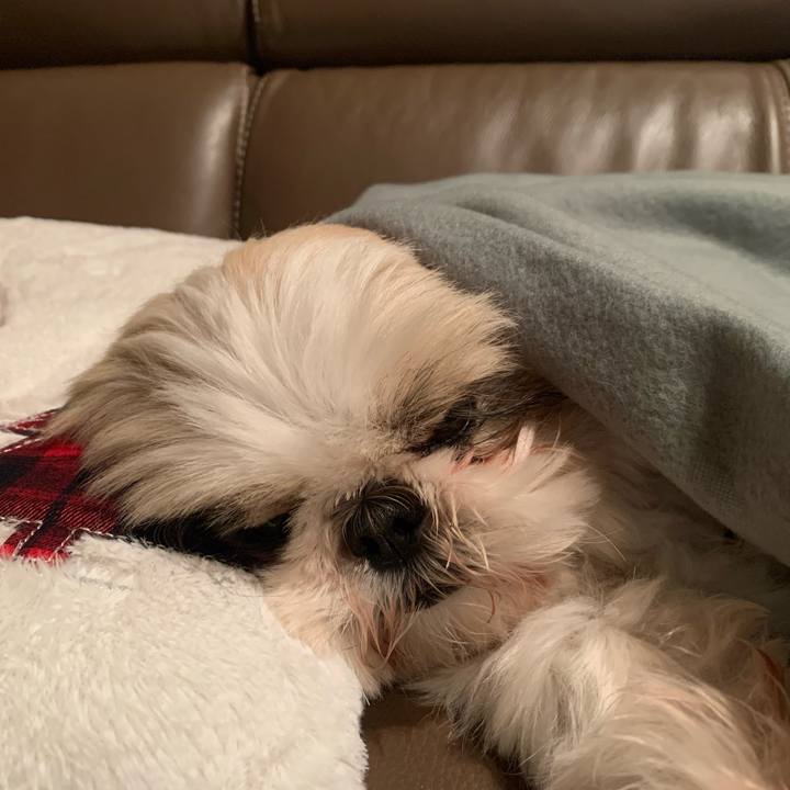 43a393e7 5aa3 4695 bc03 7db9ddb47bd7 1707146516637