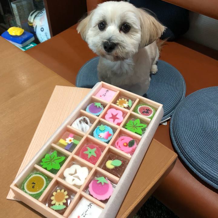 43a3f3f9 aab1 44fc 88b1 5dfcb06b72e5 1508328284262