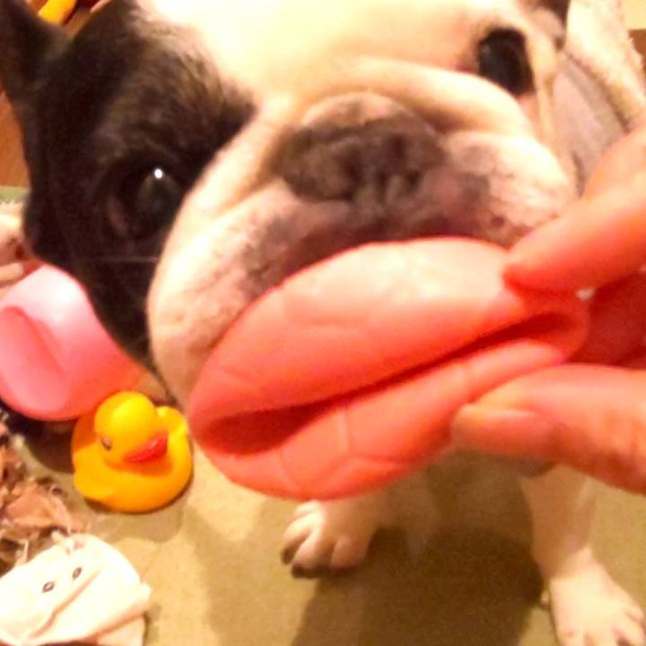 43a3feb0 ee44 489a b069 405a1e883b2d 1689932019778