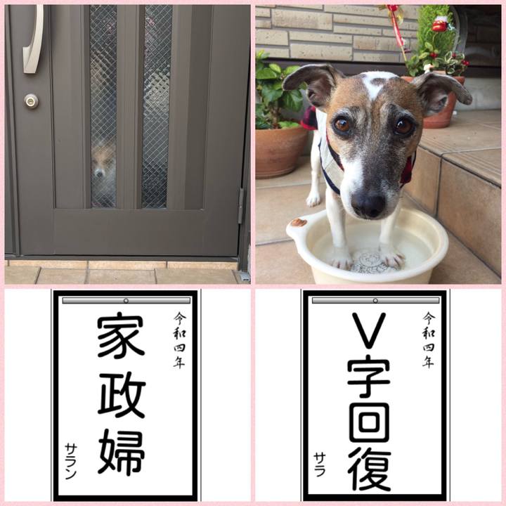 43a410ba f63e 44f9 bfef bf8415af6600 1641353585963