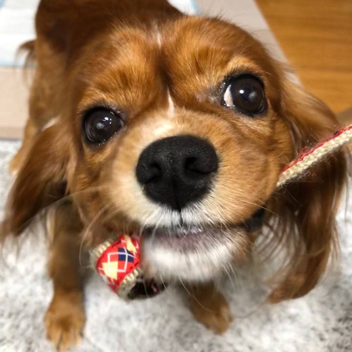 43a41fb6 f003 4a61 ad57 3f332a936358 1572905095107