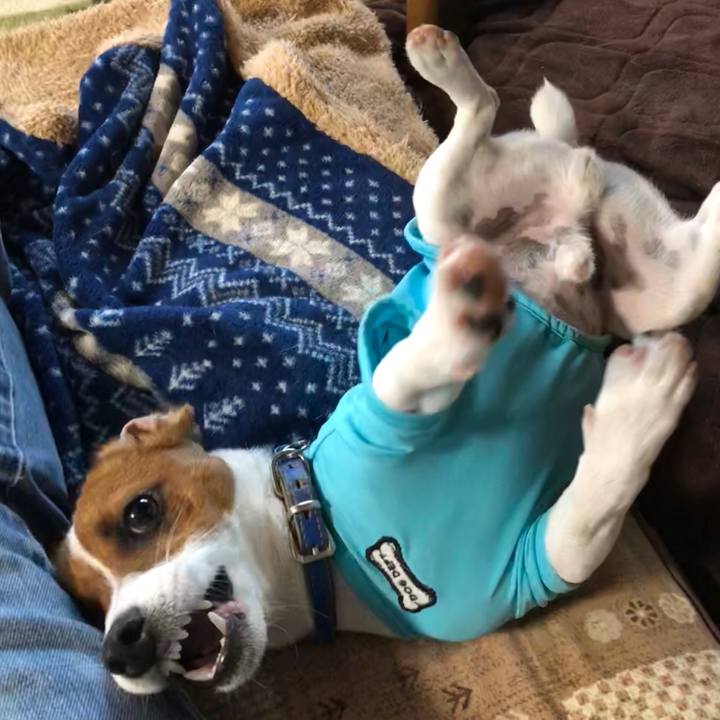 43a428bb 1796 4b36 b8b4 1e520cca838d 1529708112945