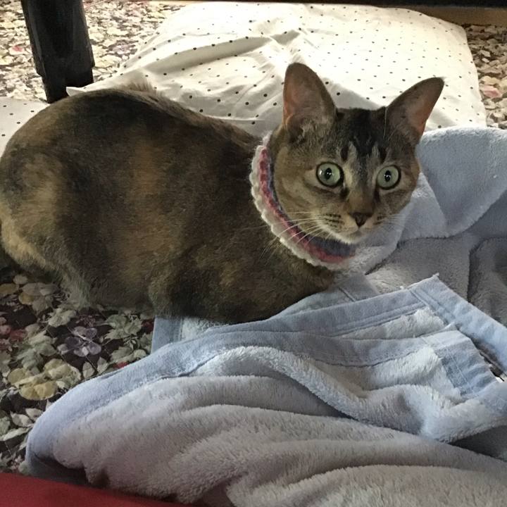 43a42ce7 cbe7 439e 962f e3a15371eaf2 1624257844126