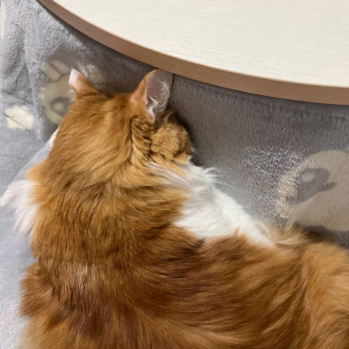 43a43105 89b8 4bce 8b75 c36d1f238c98 1634388328078