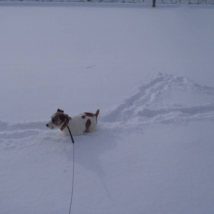 43a45a62 a60e 44f0 b059 a87e35e26118 1517132226573