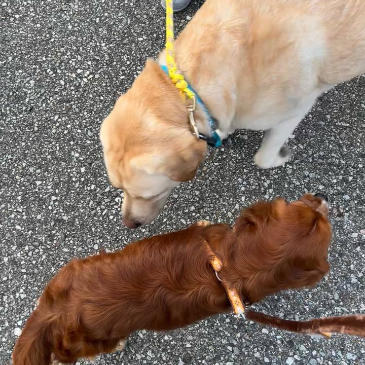 43a46cb0 d6a0 4211 a5ed 8c03edb9be50 1658620749132