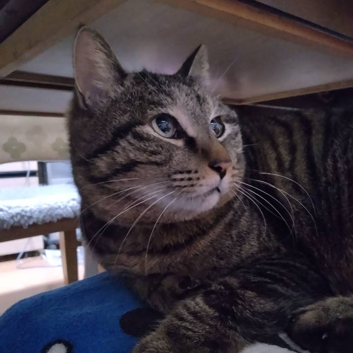 43a46d8f 5dd0 488f b03b b3885223028e 1679091550916