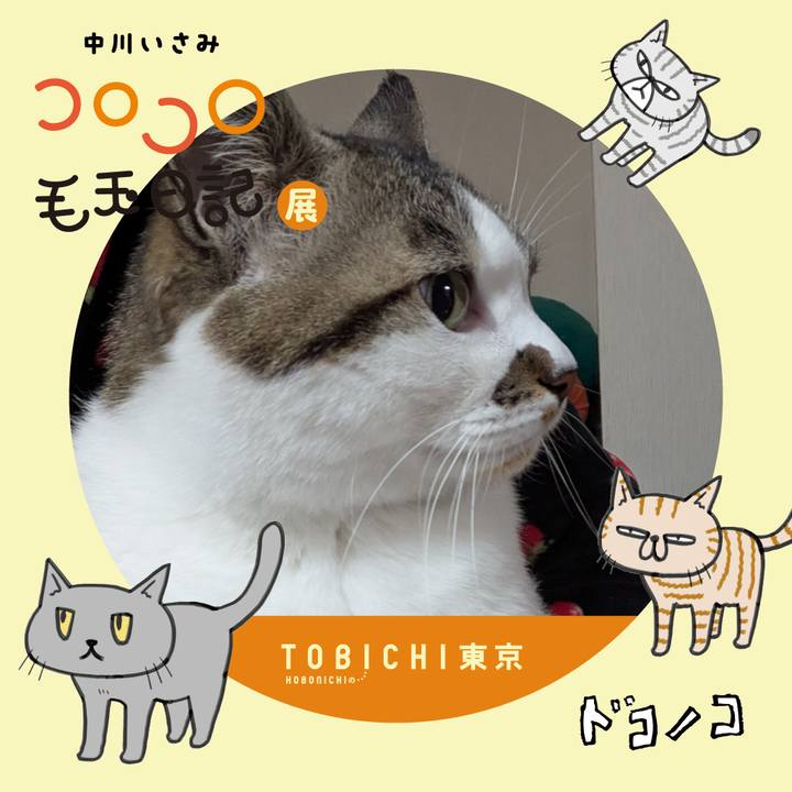 43a4e346 f3b4 4236 97b8 330a39c72a2d 1740235993548