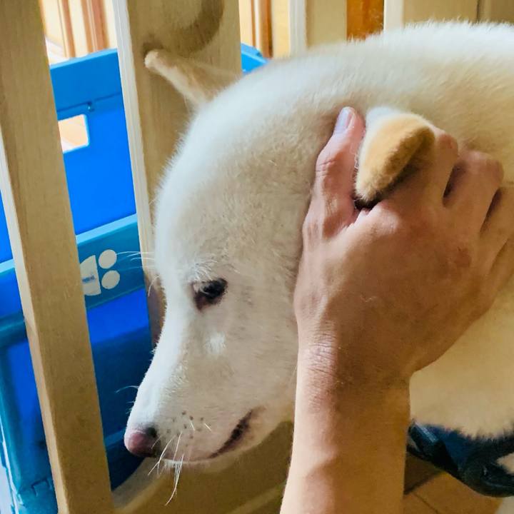 43a4f23e b4c0 492f bd3e 81f16b0ffffd 1628603301482