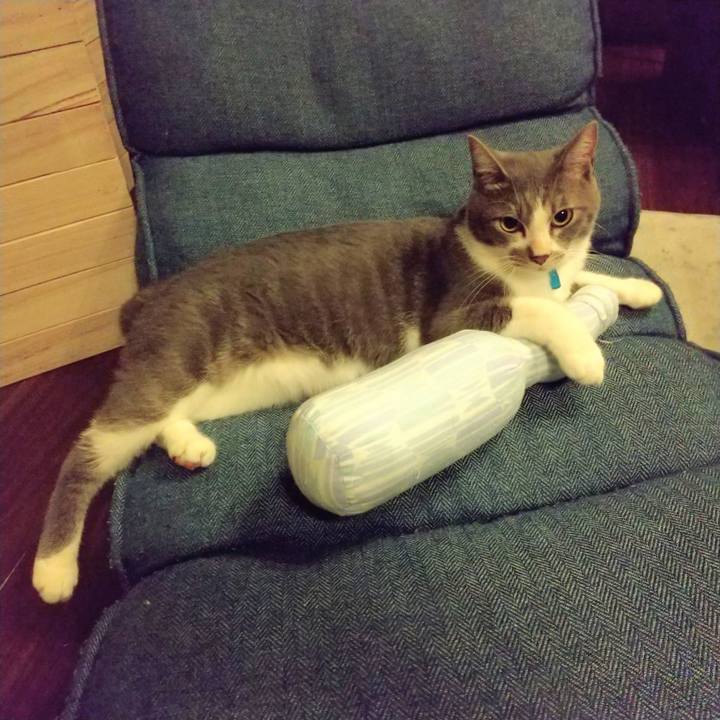 43a50c01 a536 44a9 9c73 92ec8b56e9a0 1597502023197