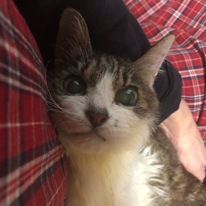 43a52fb7 8632 477f 82ef 6b18300b7c50 1585861300220