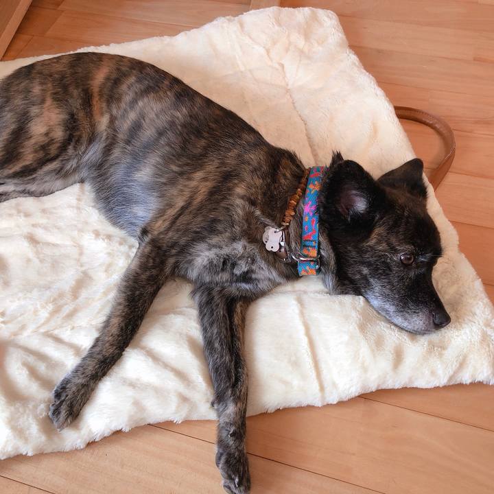 43a53448 a86b 47e3 b1fc 917855842db7 1568960495880