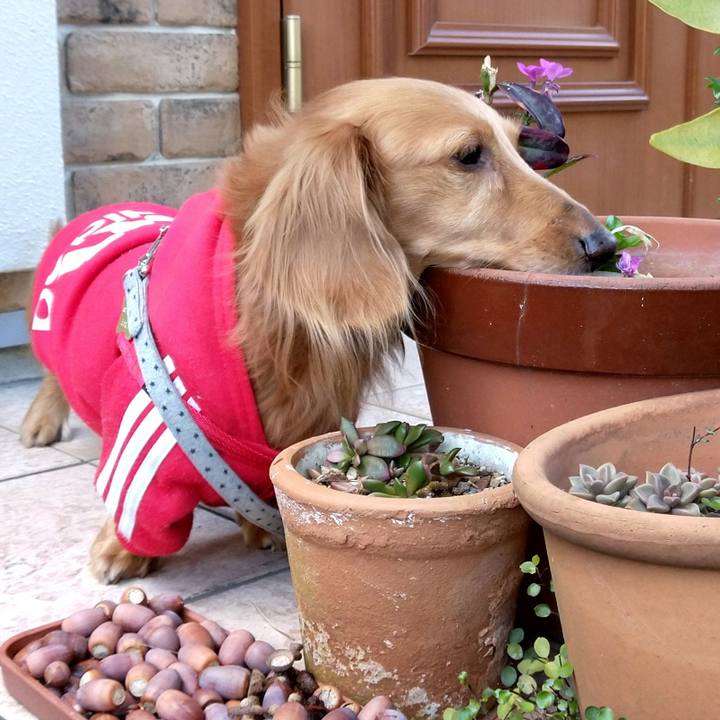 43a53938 1037 4018 99e1 ebcf1281a28b 1643968328782