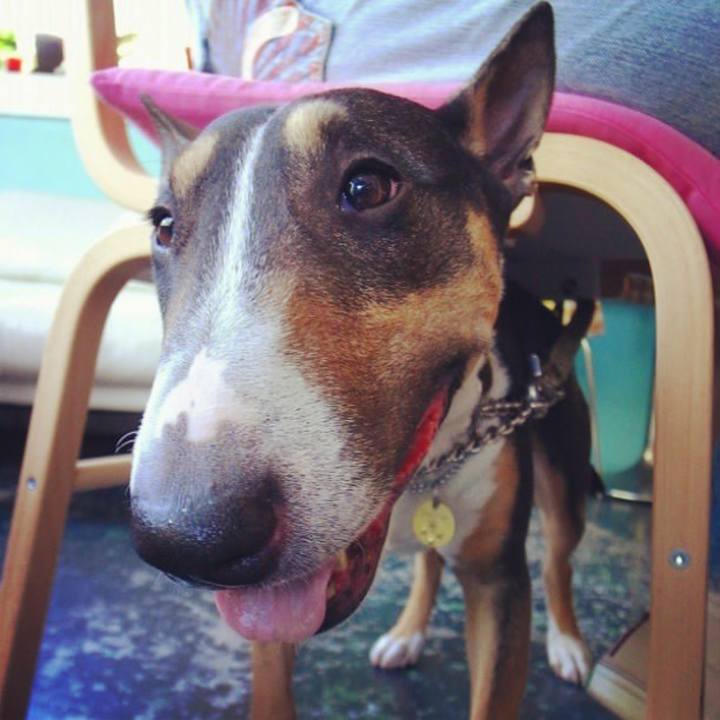 43a53f30 ea67 4f06 bcdf e5e6b167fa91 1674550335939