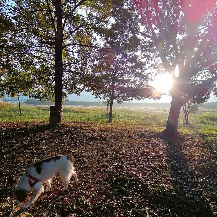 43a5444f 6a2a 42cf a241 3d7dd49ca3b1 1605413307885