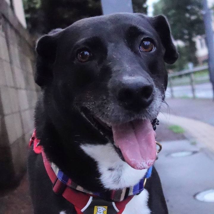 43a548ec 5077 4e75 aa83 f8d19623c316 1657970386289