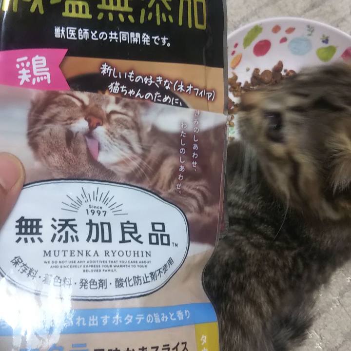 43a567c6 5158 405f a397 1281c37a850e 1635149370167