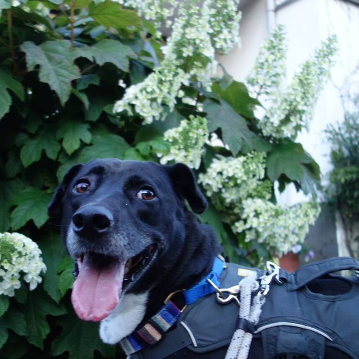 43a5a444 e4b0 4df7 8f57 dc0474eae49e 1653389971031