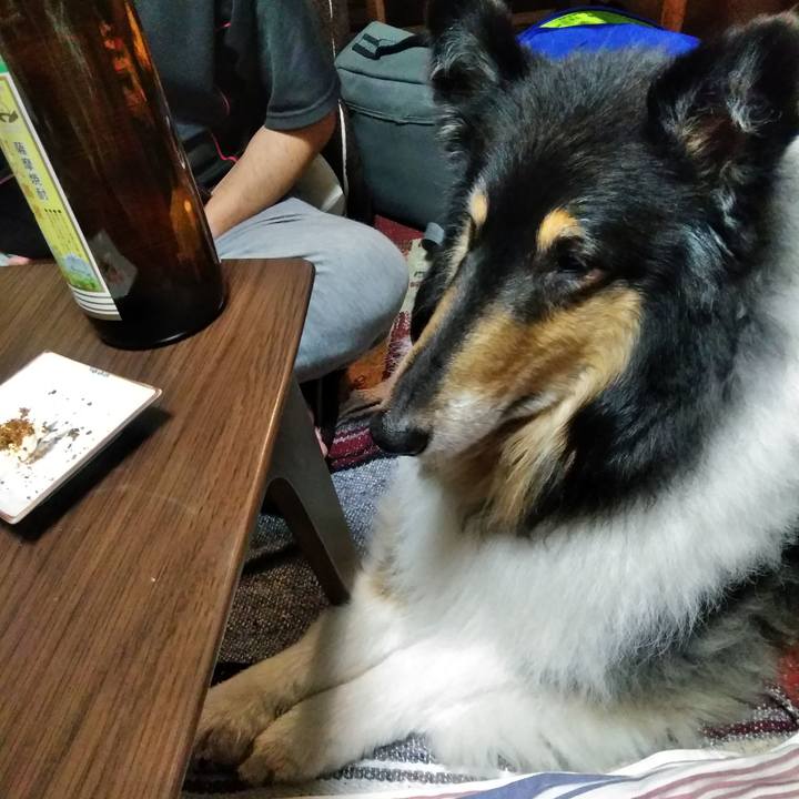 43a5d117 4070 4bd3 96ba 906074e8df23 1527339880520