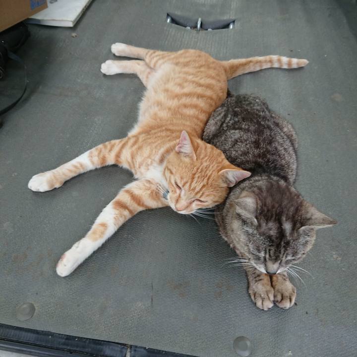 43a5db12 3a16 4e61 96f9 d68b559da71d 1563527156250