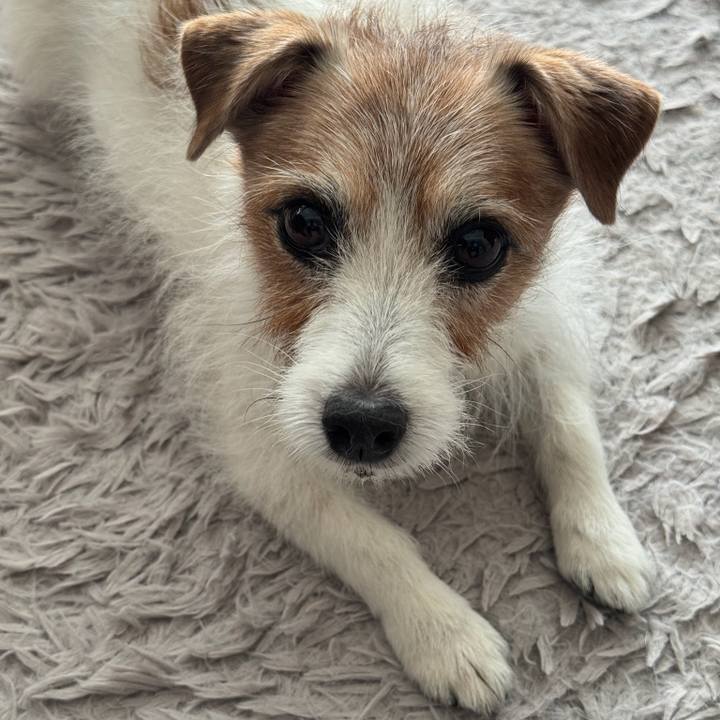 43a65976 e507 4ee2 8695 5379e720fc98 1762051875750