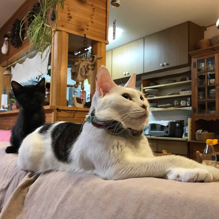 43a6e66d b802 4905 a352 6c31518d4ba2 1562586304102