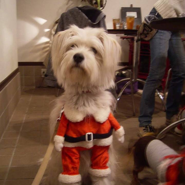 43a71d1d 83dd 48a9 8438 7dbe9bf8093f 1577193058586