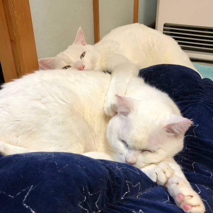 43a71e49 b762 4582 994b 766b421793a1 1577547521520