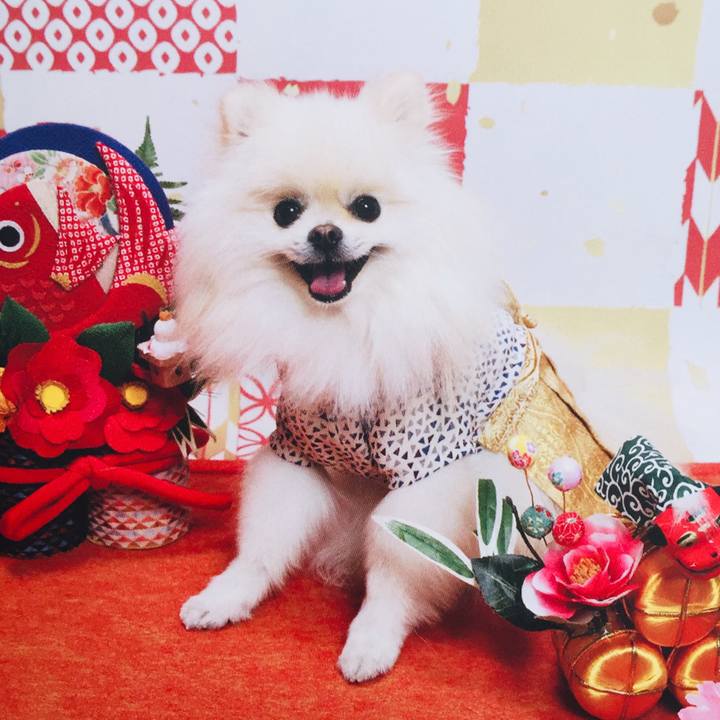 43a7247b 8e18 4a94 8e6d 0f2f886186f2 1546270113133