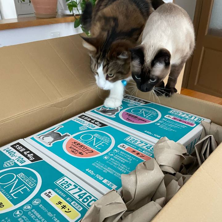 43a7401c 2ace 4f0d a3b3 d80415f39942 1734239745342