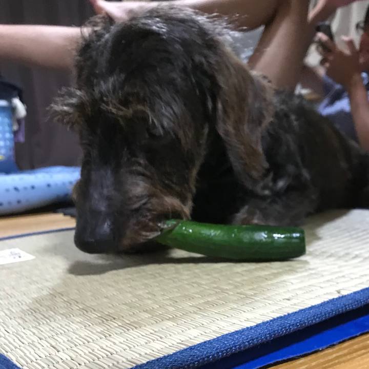 43a7406c db81 4321 9c99 729f1285215c 1564148085427