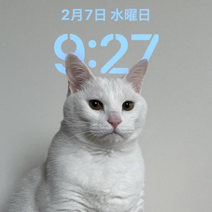 43a77c6e 5266 419c ac8c 86bfabc5058a 1707265773470