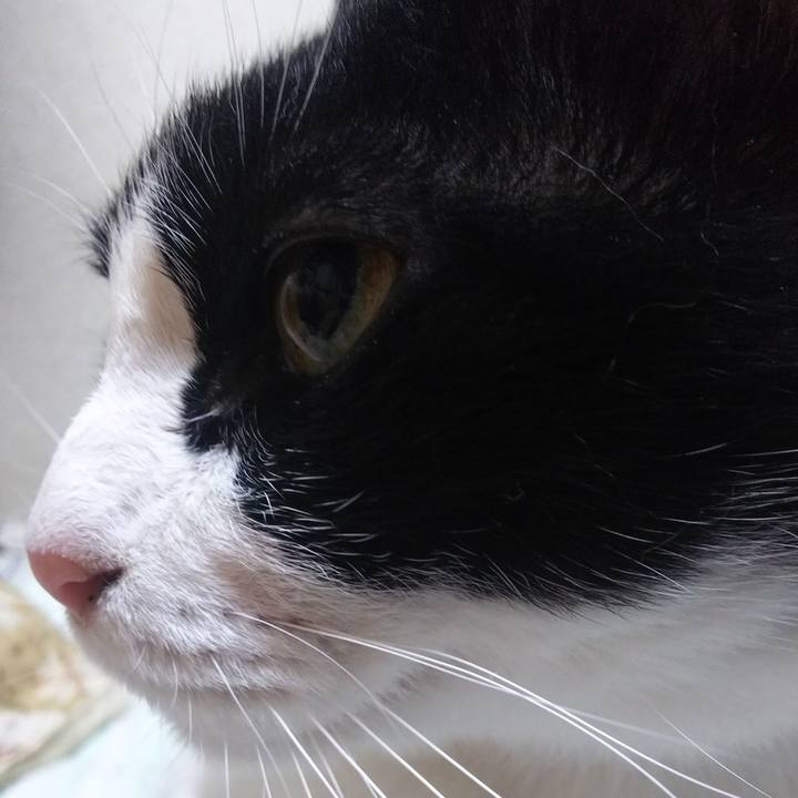 43a7bc57 1134 4236 970d 983325c56f69 1556355414875