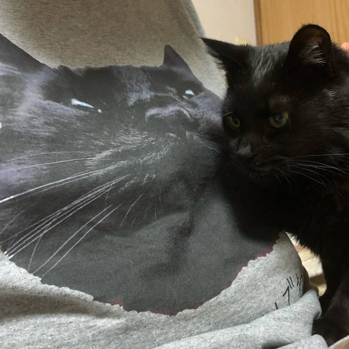 43a7ceff c4ef 4a63 9dd3 c3875512ac8b 1619015560613