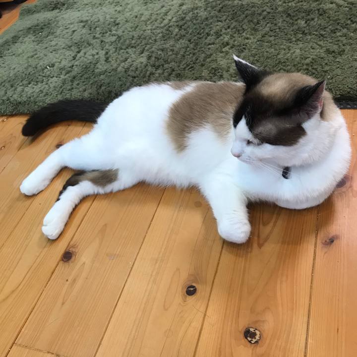 43a7de9f b35e 422d 945f b36db21c9ce5 1625899976325