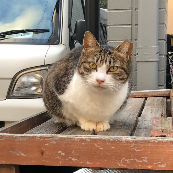 43a7f25d 8e76 4c13 ab12 fd3113c0b5f0 1580741528763