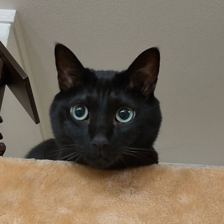 43a81d36 0256 423b 8c3a 070721092647 1671796773445