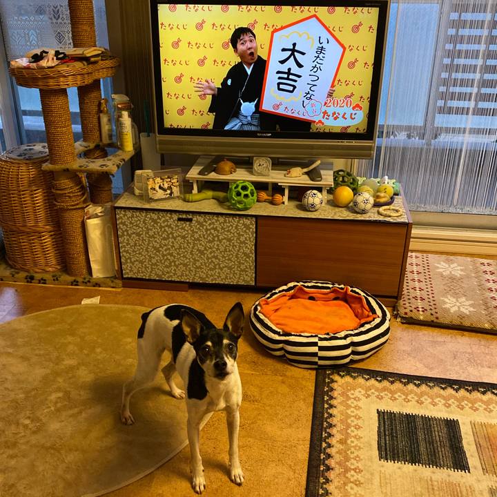 43a83a63 48c1 4f73 bb0d b93809916444 1578262260464