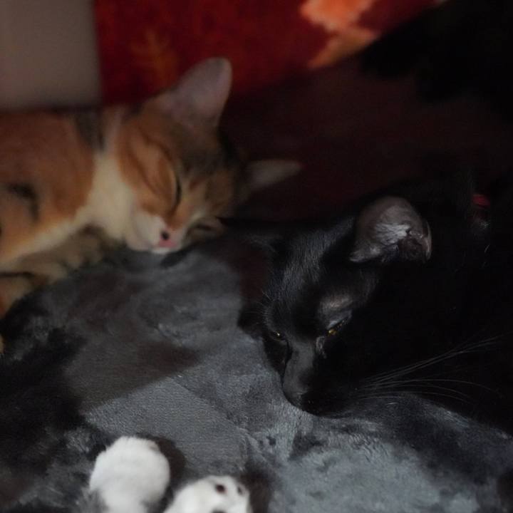 43a86404 bedb 4ec7 ac32 1fdae76d6272 1580804286113