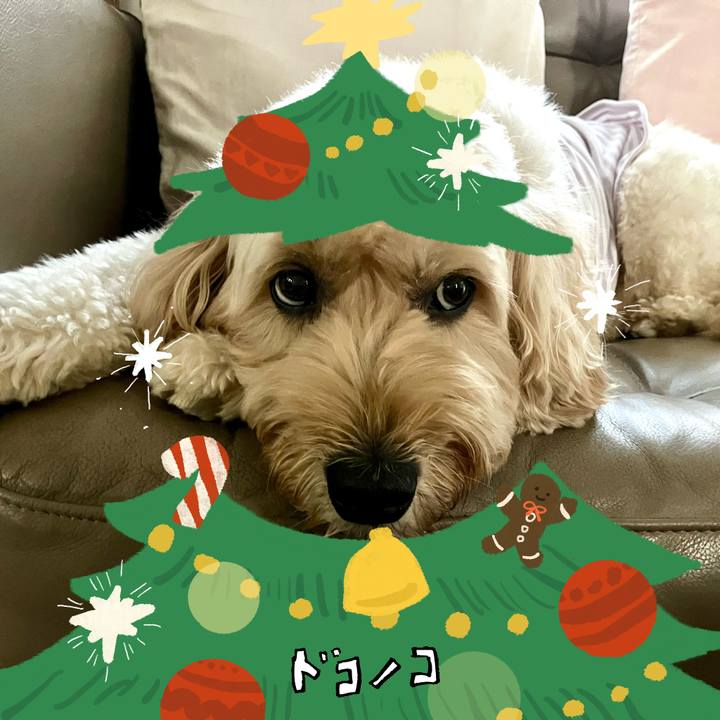 43a8a95f 69c0 4c7b 9425 761df3dd66bb 1761299901463