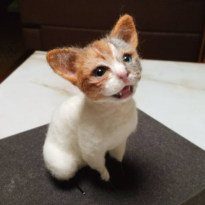 43a8f493 b104 46ef 9744 3ab5763e3c7c 1534179914576