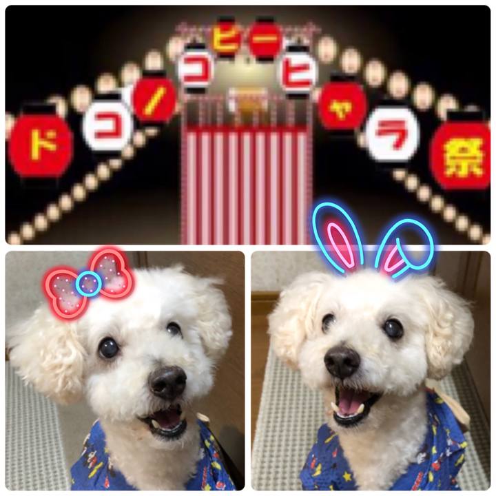 43a8f653 5f1a 4487 96c3 c023747ed483 1533383603537