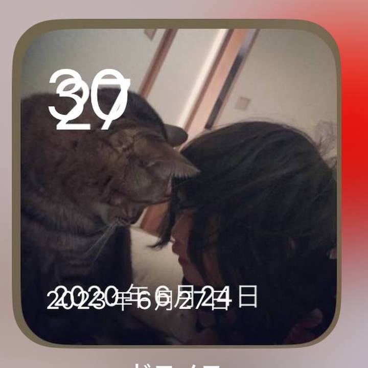 43a8f730 6516 4c4e 83a4 0cc9ccf2f1c7 1719749734375