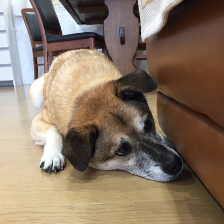 43a8ff9b a205 422e b4fb c9b3a05730c1 1566427687789